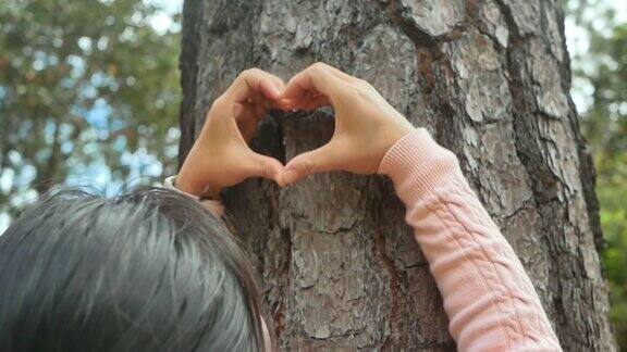 女性的手在一棵大树上形成一个心形保护和爱护自然的理念