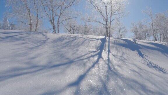 在冬日明亮的阳光照耀下长长的树影落在闪闪发光的雪地上