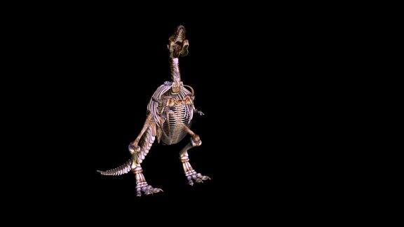 恐龙的3D动画