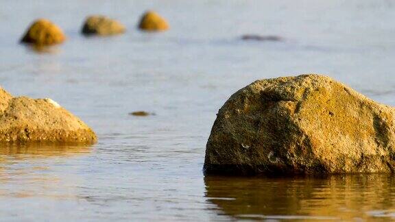 日落时海滩上的石头