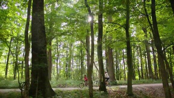 一个带着三个孩子的家庭骑着自行车穿过森林