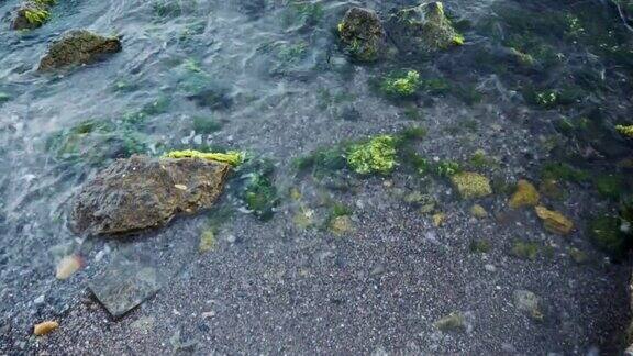 海浪冲击着长满苔藓的岩石缓慢的运动