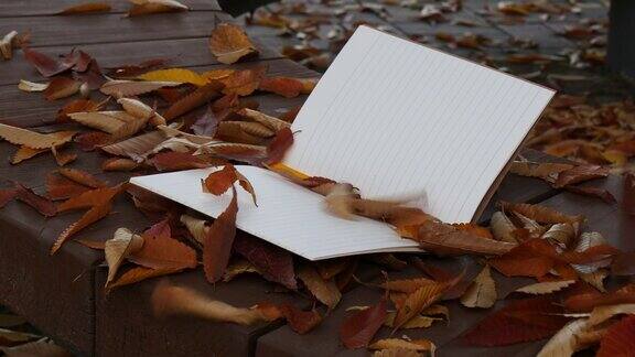 秋天的落叶在长凳上的备忘录