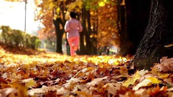 滑动镜头:女人正在秋天的公园里跑步