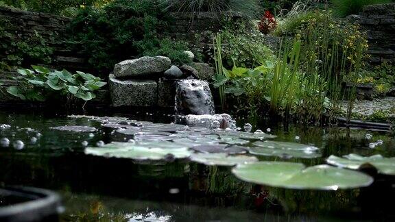 有瀑布和植物的花园池塘