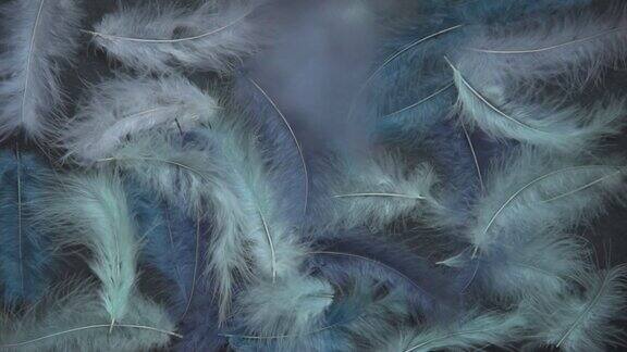 纤细的蓝色羽毛背景纹理抽象和时尚的背景羽毛、羽绒的线条和质地光滑微风吹走了羽毛黑色背景放置文字