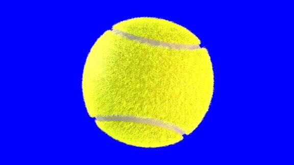 球旋转网球