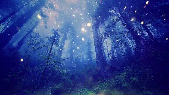 神奇的森林精灵灯光背景