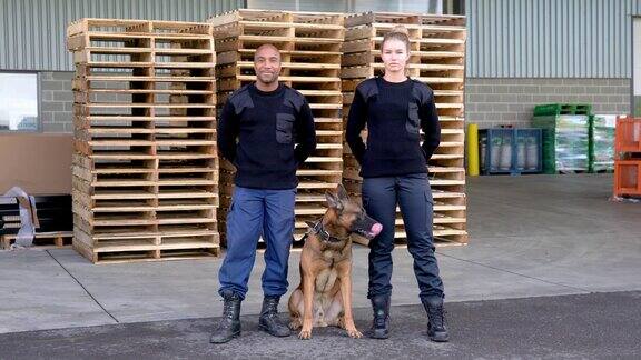 两名K-9专业保安和一名比利时马里诺犬巡逻