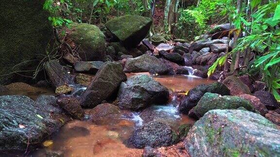 森林里的山涧里有泉水水从石头上流过山区河流