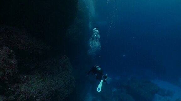 在日本小笠原群岛海底暗礁潜水