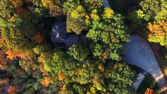 俯视秋天的颜色树木房屋