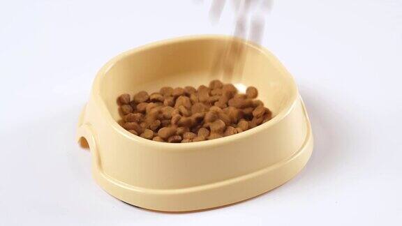 猫或狗的干粮倒进白色背景的碗里宠物食品