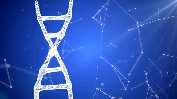 DNA序列发光的DNA编码结构