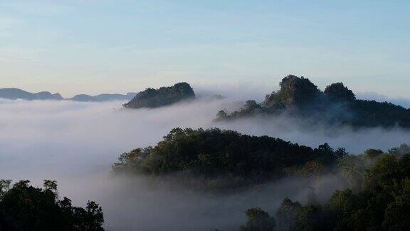 景观图像的绿化雨林山和丘陵与雾海