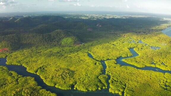 空中俯瞰亚马逊雨林和河流在巴西