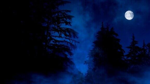 夜森林迷雾沼泽和月亮