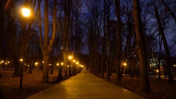 公园里秋天的夜巷