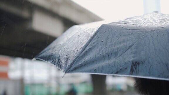 雨中伞慢镜头