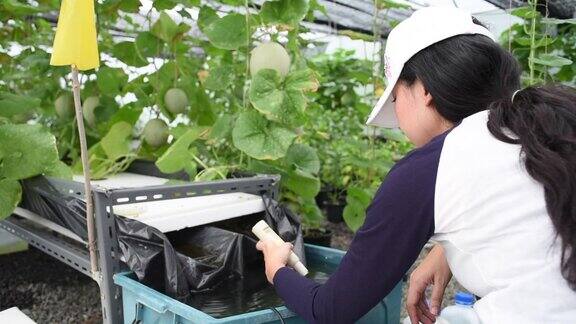 亚洲妇女农民检查水在瓜温室植物