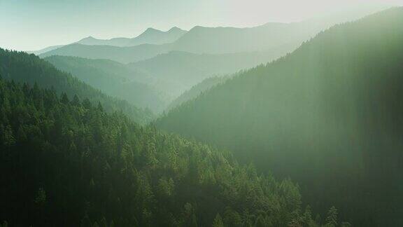 阳光照耀浓密的森林在克拉马斯山脉加利福尼亚北部-鸟瞰图