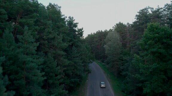 黄昏时分汽车行驶在森林里的乡间小路上