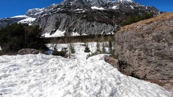 滑雪者在下山时避开树枝和岩石