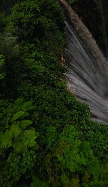 垂直视频潜水多雨的热带岛屿瀑布速度水落石流雨林