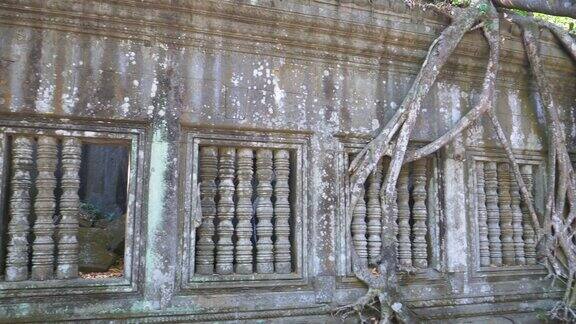 在柬埔寨暹罗林丛林中央的明密利古庙遗址