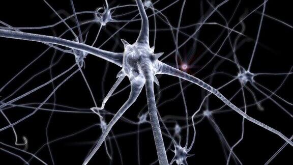 有突触的大脑神经元3D生成的图像