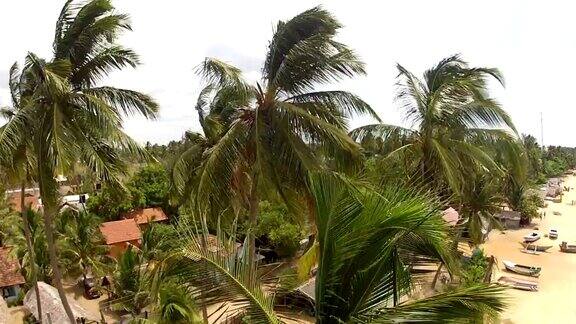 航拍:飞过沙滩上的棕榈树