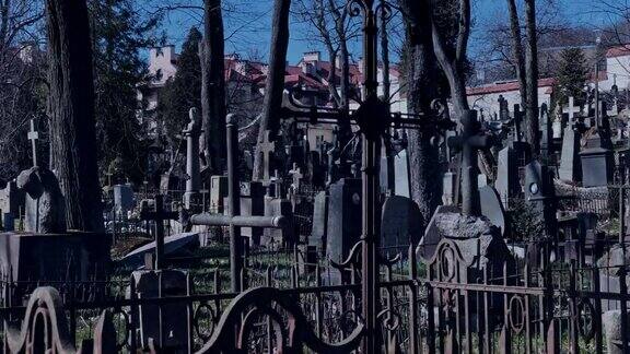 漫步在古老的墓地里