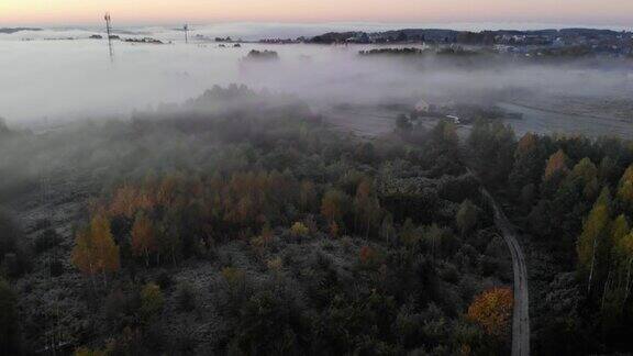 鸟瞰图迷雾乡村的日出神奇的地平线之雾史诗般的惊人自然景观日出时雾和彩色树木的惊人鸟瞰图秋天的雾景观雄伟的雾森林