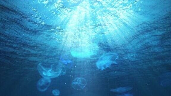 海洋和水母中的水下太阳光(循环)