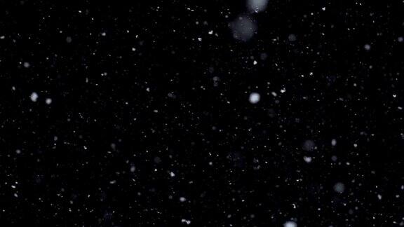 飘落的雪在黑色的背景真正的雪落在黑暗的外面小雪花一夜之间圣诞节散焦粒子慢慢的白色散景大雪冬天的童话气氛