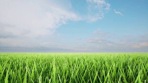 绿色景观草地球日夏季自然淡多云天空4k