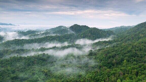山谷中的雾超缩空中拍摄的清晨绿色森林日出时间空中拍摄的清晨海雾在泰国南邦乡村的山上