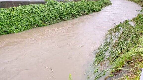 在长时间的大雨之后泥泞的河流湍急地奔流景观日本