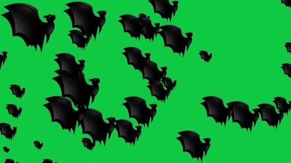 万圣节蝙蝠-万圣节概念-蝙蝠向上拍打翅膀-循环-成百上千的蝙蝠向上冲-万圣节-万圣节蝙蝠飞行无尽的循环-蝙蝠循环-彩色键背景-黑色-А蝙蝠群