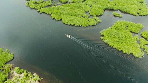 宽阔的河流和红树林俯视图一艘摩托艇正沿着热带树木航行