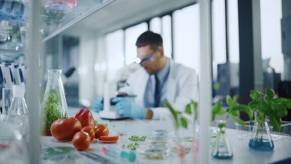 前景聚焦于一系列实验室培养的蔬菜:豌豆番茄甜椒植物在现代食品科学实验室工作的医学科学家
