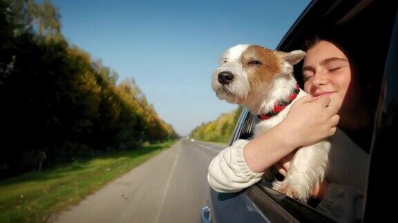 狗和快乐的女孩把头探出车窗慢动作