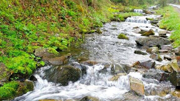 森林小溪在长满苔藓的岩石上流淌