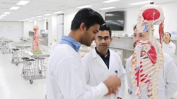 医学院学生在大学实验室一起工作