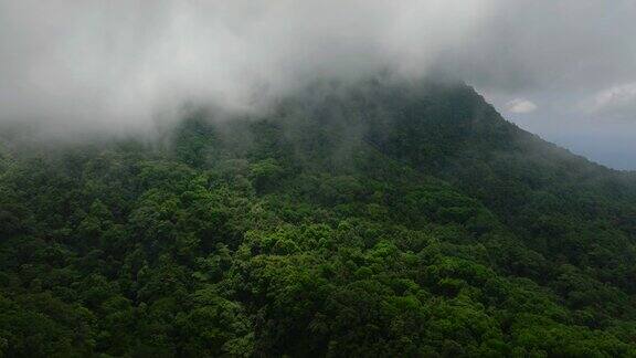 卡米昆岛上有森林的山菲律宾