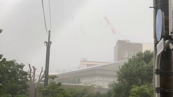 世田谷7月11日至2021年东京世田谷大雨