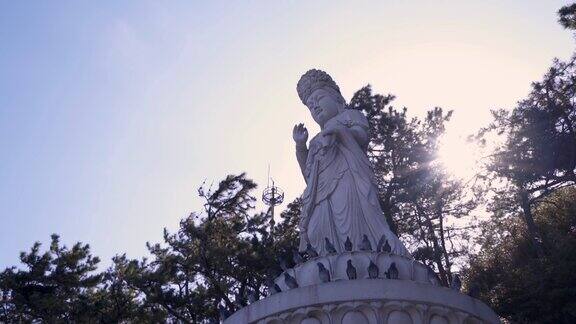 釜山海东龙宫寺的佛像和飞翔的鸽子