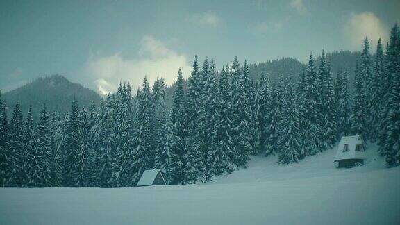 冬天雪林中的小屋