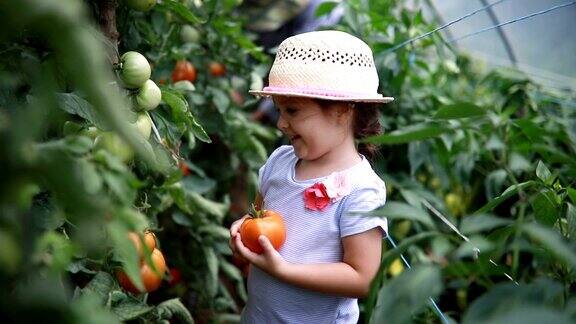 骄傲的孩子抱着她种的第一个番茄