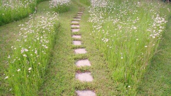 美丽的小路在花园鲜花盛开的草地